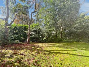 Garden- click for photo gallery